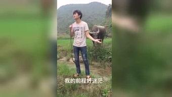 激情国产福利视频大全