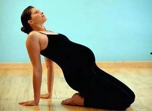 外国产妇运动视频大全,外国产妇运动视频大全精选集锦