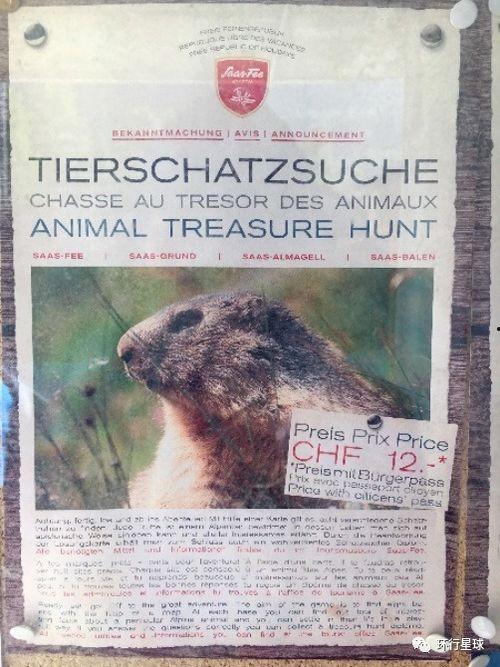 国产土拨鼠闯入超市视频,国产萌宠引发全民热议