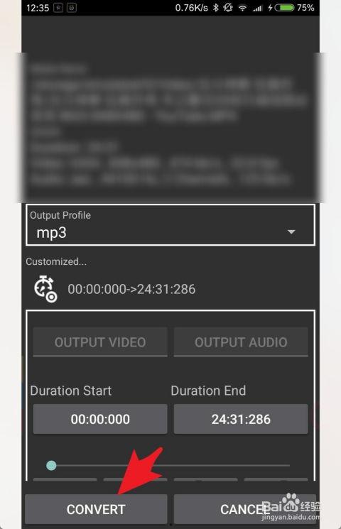 国产手机视频用什么格式,揭秘热门格式与高效生成技巧