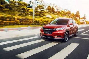 13万国产自主车视频